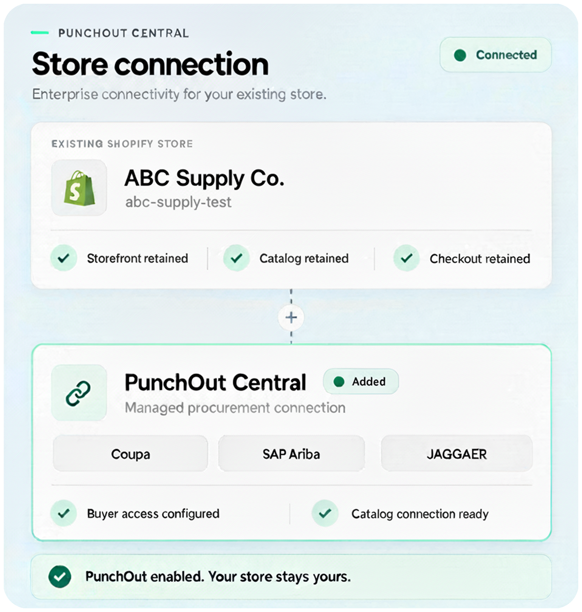 PunchOut Central Ecommerce Agencies Overview